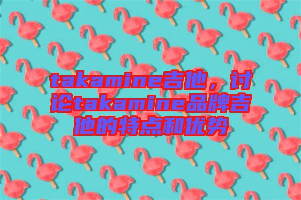 takamine吉他，討論takamine品牌吉他的特點(diǎn)和優(yōu)勢(shì)