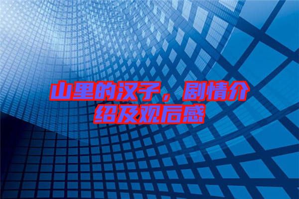 山里的漢子，劇情介紹及觀后感