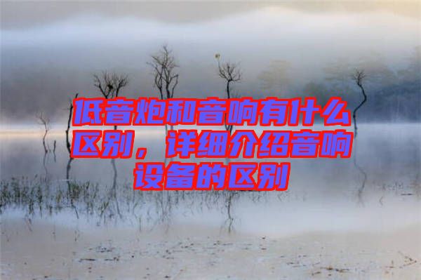 低音炮和音響有什么區(qū)別，詳細介紹音響設備的區(qū)別