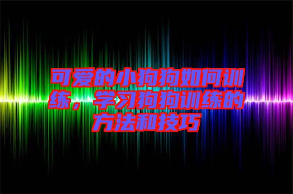可愛的小狗狗如何訓(xùn)練，學(xué)習(xí)狗狗訓(xùn)練的方法和技巧