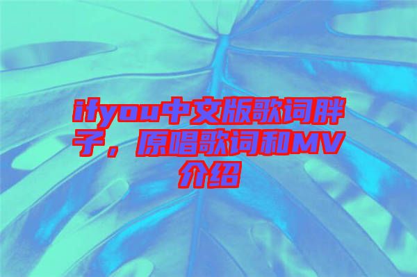 ifyou中文版歌詞胖子，原唱歌詞和MV介紹