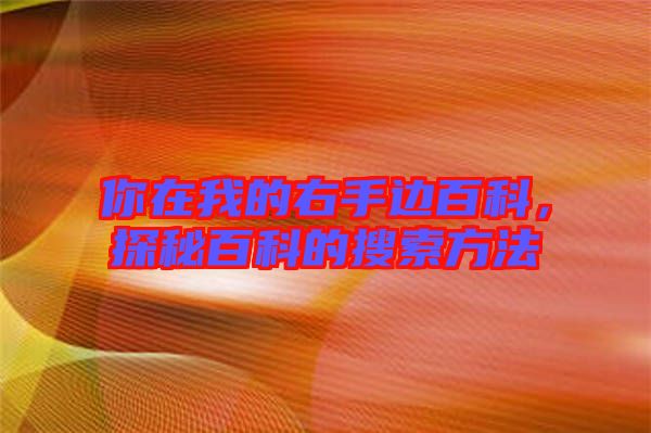 你在我的右手邊百科，探秘百科的搜索方法
