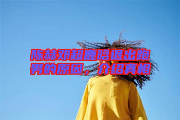 陳赫鄧超鹿晗退出跑男的原因，介紹真相