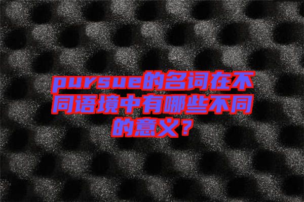 pursue的名詞在不同語境中有哪些不同的意義？