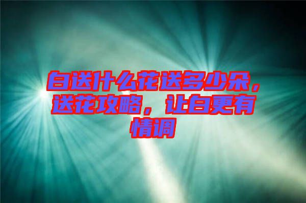 白送什么花送多少朵，送花攻略，讓白更有情調(diào)