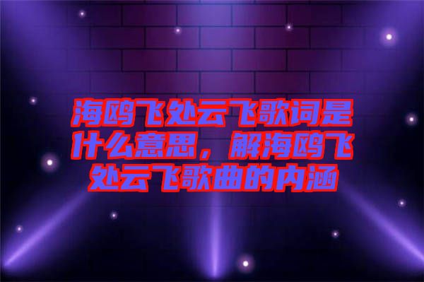 海鷗飛處云飛歌詞是什么意思，解海鷗飛處云飛歌曲的內涵