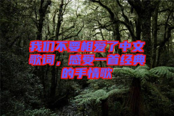 我們不要相愛了中文歌詞，感受一首經(jīng)典的手情歌