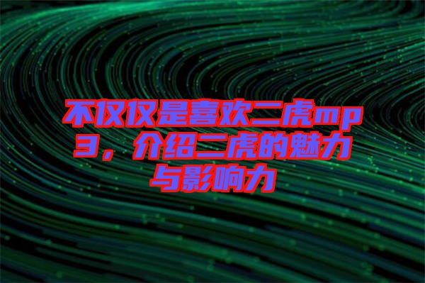 不僅僅是喜歡二虎mp3，介紹二虎的魅力與影響力