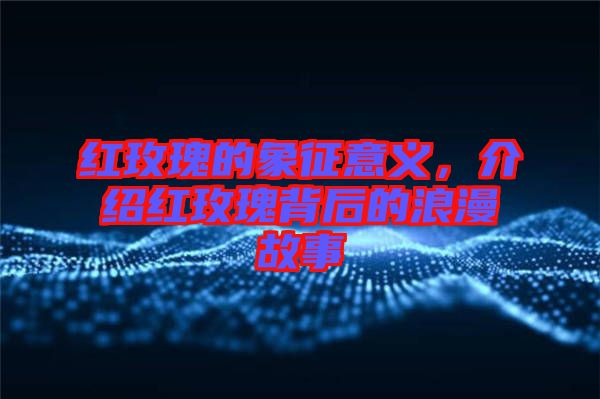 紅玫瑰的象征意義，介紹紅玫瑰背后的浪漫故事