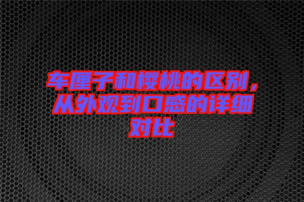 車(chē)?yán)遄雍蜋烟业膮^(qū)別，從外觀到口感的詳細(xì)對(duì)比