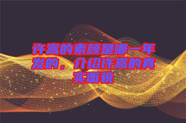 許嵩的素顏是哪一年發(fā)的，介紹許嵩的真實(shí)面貌