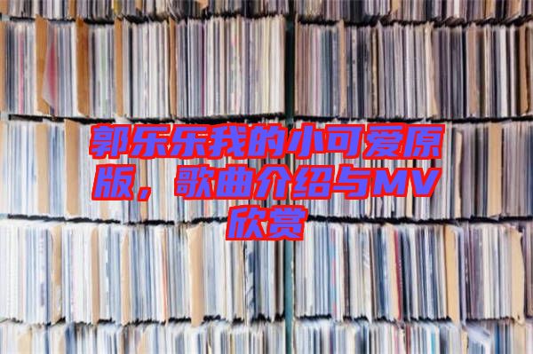 郭樂樂我的小可愛原版，歌曲介紹與MV欣賞