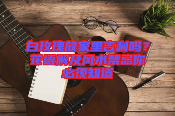 白玫瑰放家里吉利嗎？花語解及風水禁忌你必須知道