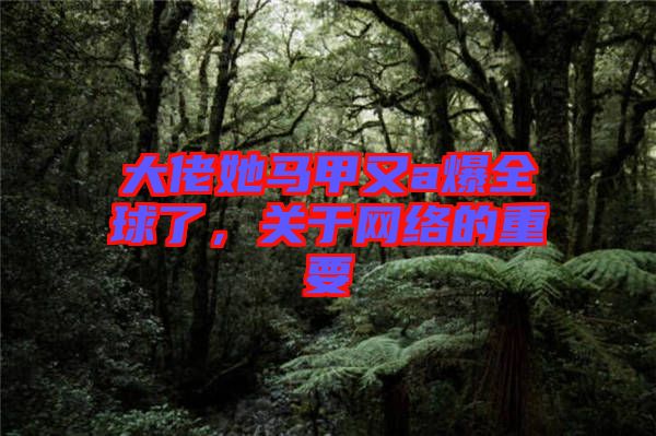 大佬她馬甲又a爆全球了，關(guān)于網(wǎng)絡(luò)的重要