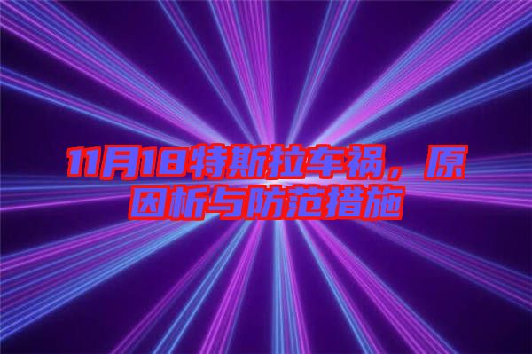 11月18特斯拉車禍，原因析與防范措施