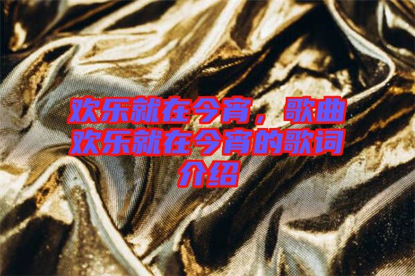 歡樂(lè)就在今宵，歌曲歡樂(lè)就在今宵的歌詞介紹