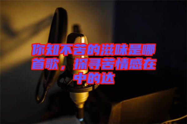 你知不苦的滋味是哪首歌，探尋苦情感在中的達(dá)