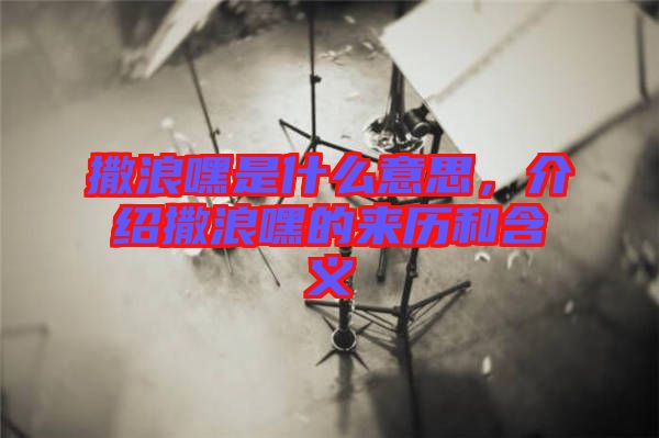 撒浪嘿是什么意思，介紹撒浪嘿的來歷和含義
