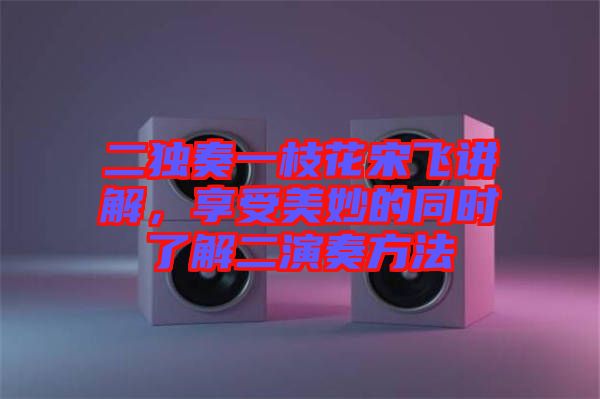 二獨奏一枝花宋飛講解，享受美妙的同時了解二演奏方法