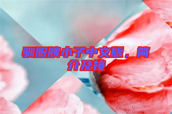 馴服胰小子中文版，簡(jiǎn)介及接