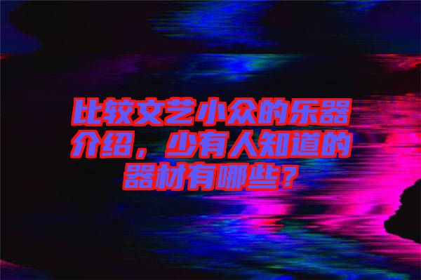 比較文藝小眾的樂器介紹，少有人知道的器材有哪些？
