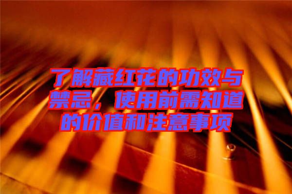 了解藏紅花的功效與禁忌，使用前需知道的價值和注意事項