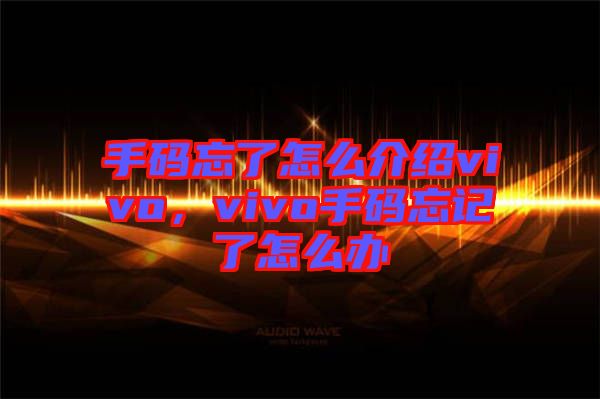 手碼忘了怎么介紹vivo，vivo手碼忘記了怎么辦