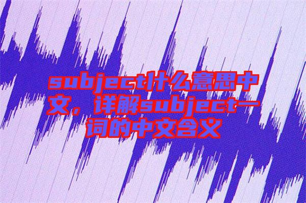 subject什么意思中文，詳解subject一詞的中文含義