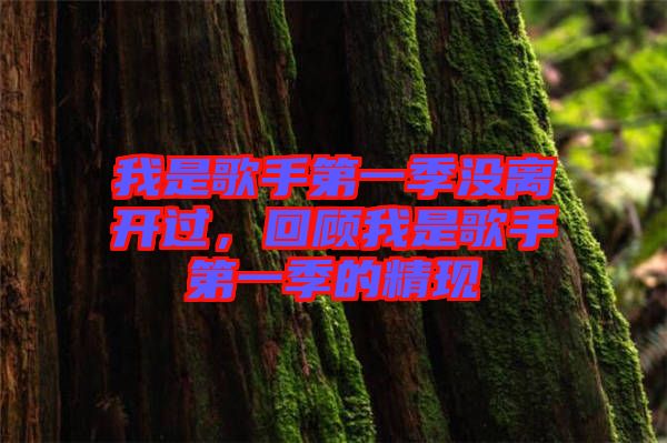 我是歌手第一季沒離開過，回顧我是歌手第一季的精現