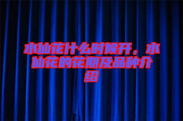 水仙花什么時(shí)候開(kāi)，水仙花的花期及品種介紹