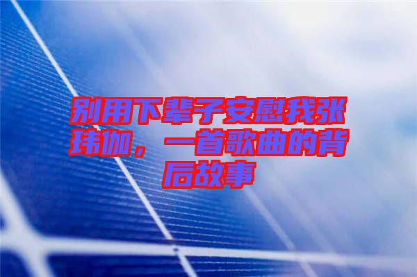 別用下輩子安慰我張瑋伽，一首歌曲的背后故事