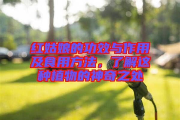 紅姑娘的功效與作用及食用方法，了解這種植物的神奇之處