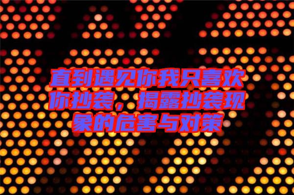 直到遇見你我只喜歡你抄襲，揭露抄襲現(xiàn)象的危害與對(duì)策