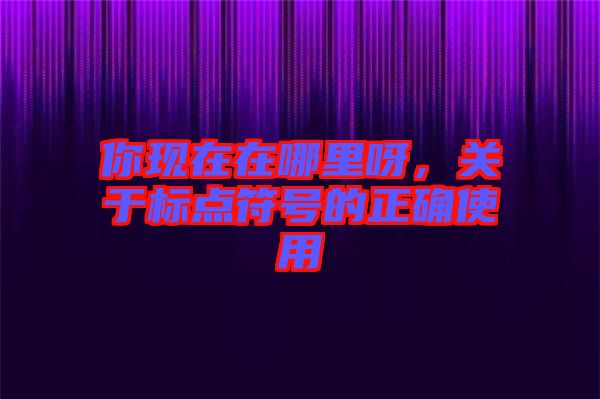 你現(xiàn)在在哪里呀，關于標點符號的正確使用
