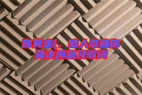 你莫走(，感人歌曲你莫走原唱及歌詞