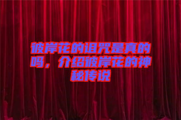 彼岸花的詛咒是真的嗎，介紹彼岸花的神秘傳說(shuō)