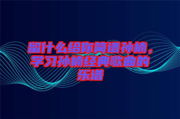 留什么給你簡譜孫楠，學(xué)習(xí)孫楠經(jīng)典歌曲的樂譜