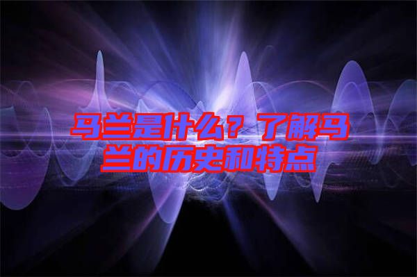 馬蘭是什么？了解馬蘭的歷史和特點(diǎn)