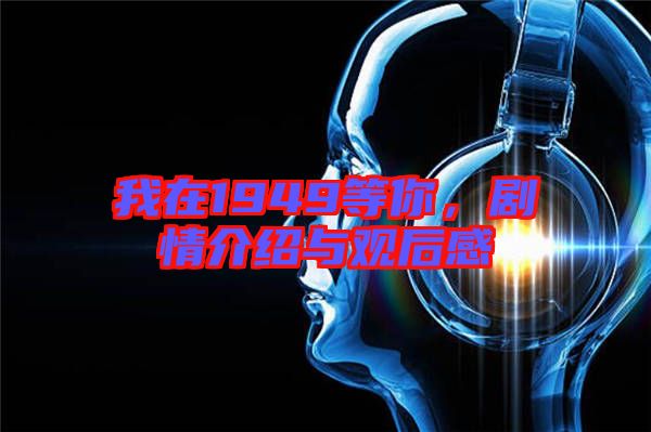 我在1949等你，劇情介紹與觀后感