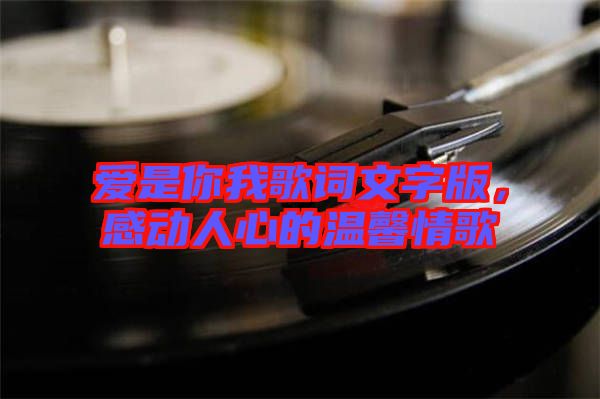 愛是你我歌詞文字版，感動人心的溫馨情歌
