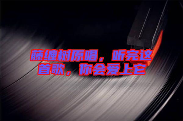 藤纏樹原唱，聽完這首歌，你會愛上它