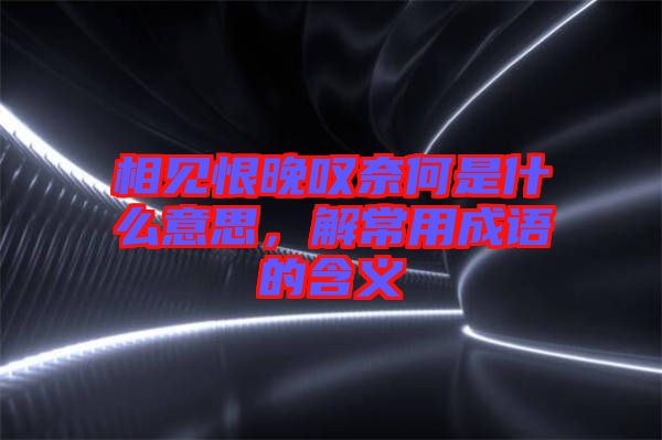 相見恨晚嘆奈何是什么意思，解常用成語的含義