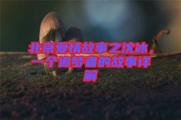 北京愛(ài)情故事之沈冰，一個(gè)追夢(mèng)者的故事詳解