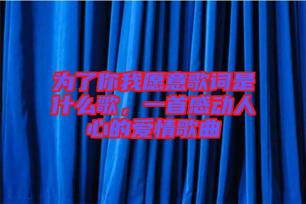 為了你我愿意歌詞是什么歌，一首感動(dòng)人心的愛(ài)情歌曲