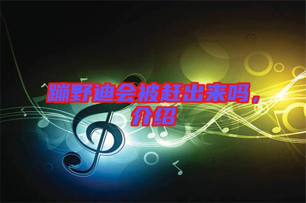 蹦野迪會(huì)被趕出來嗎，介紹