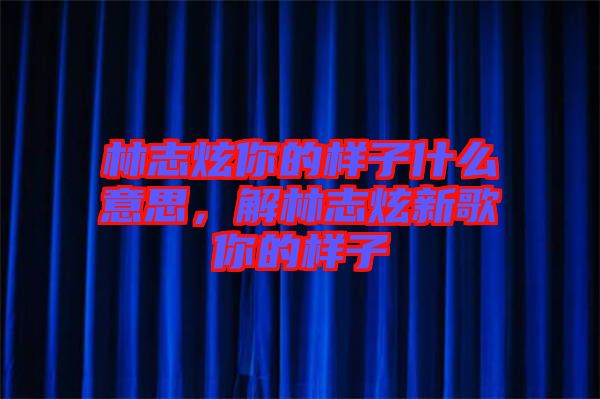 林志炫你的樣子什么意思，解林志炫新歌你的樣子