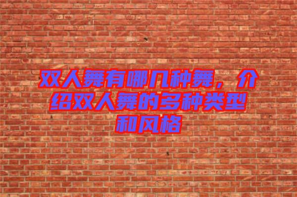 雙人舞有哪幾種舞，介紹雙人舞的多種類型和風格