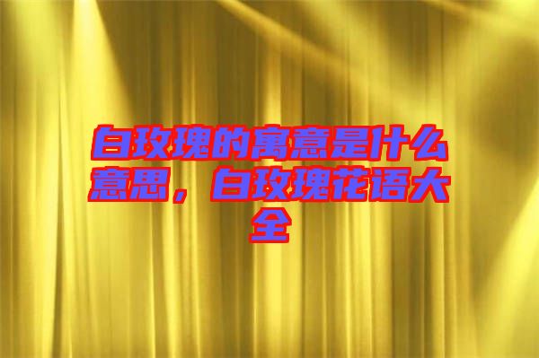 白玫瑰的寓意是什么意思，白玫瑰花語大全