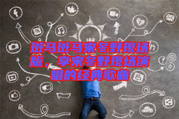 斑馬斑馬宋冬野現(xiàn)場版，享宋冬野現(xiàn)場演唱的經(jīng)典歌曲