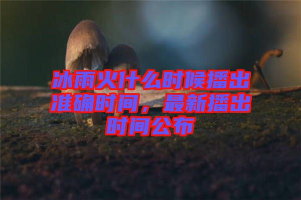冰雨火什么時候播出準(zhǔn)確時間，最新播出時間公布